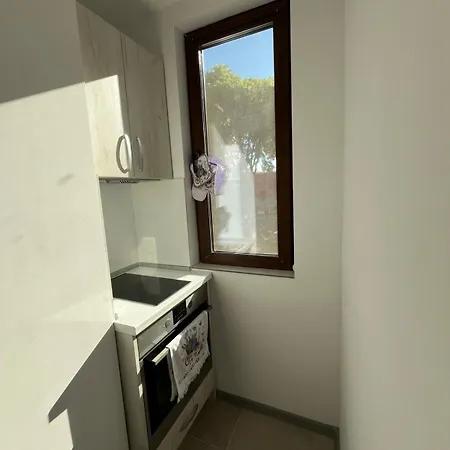 Violet's Apartment *